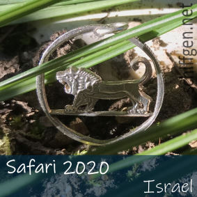 5-Lirot-Münze, Israel:
„Gut gebrüllt, Löwe.“